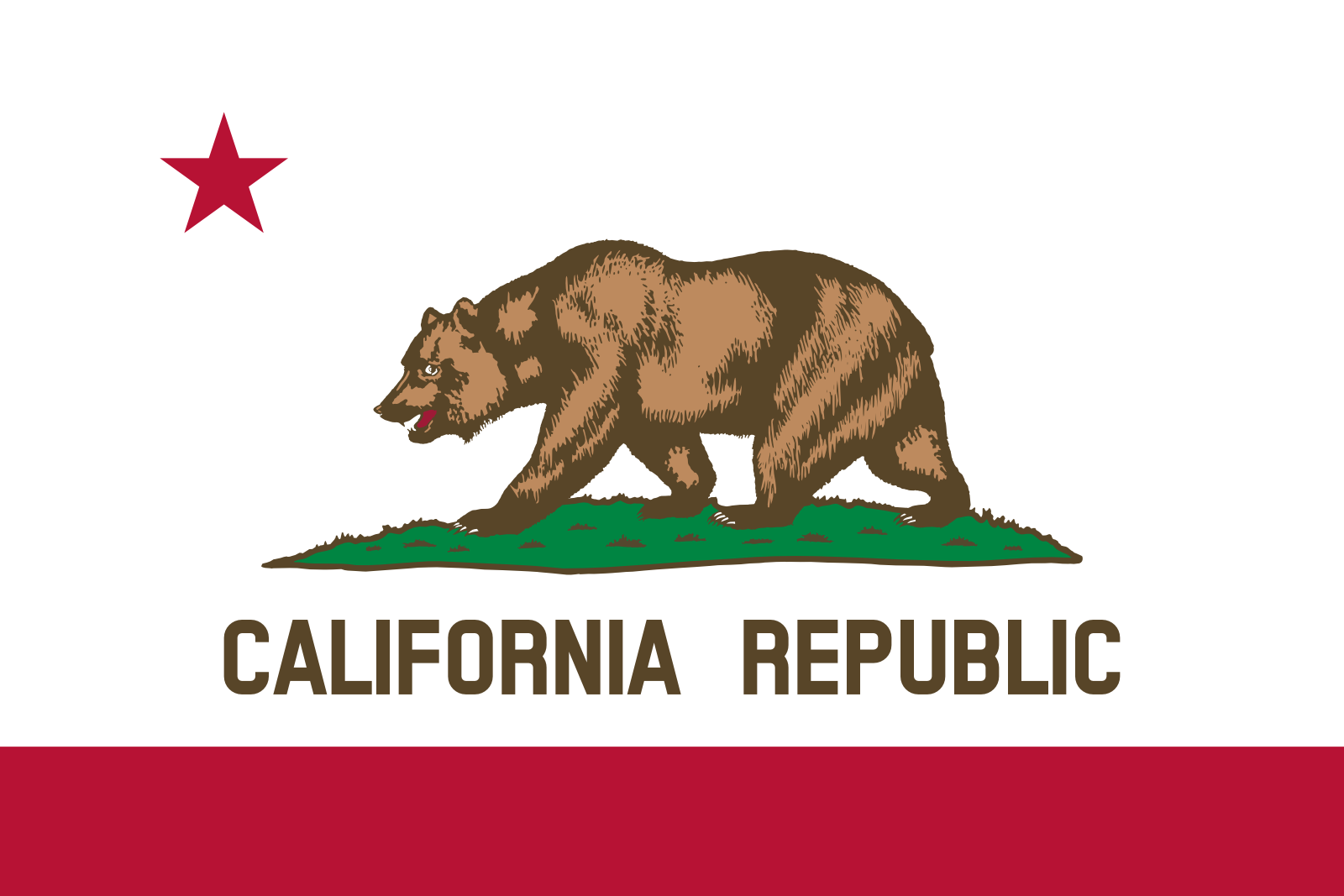 CA state flag