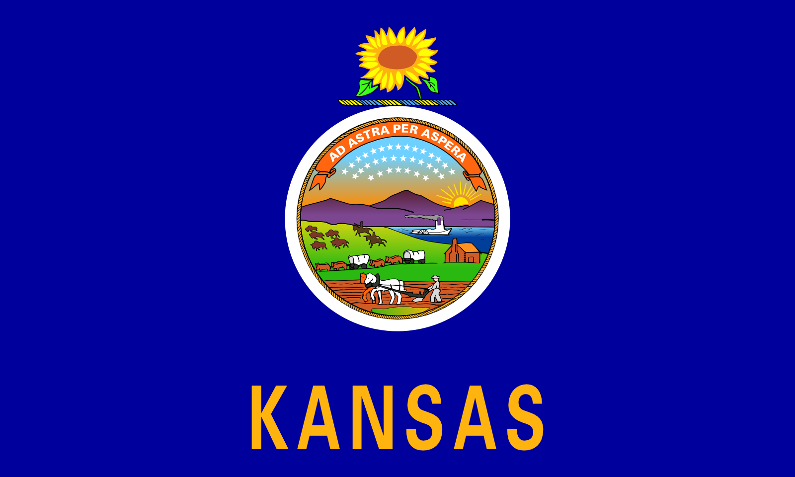 KS state flag