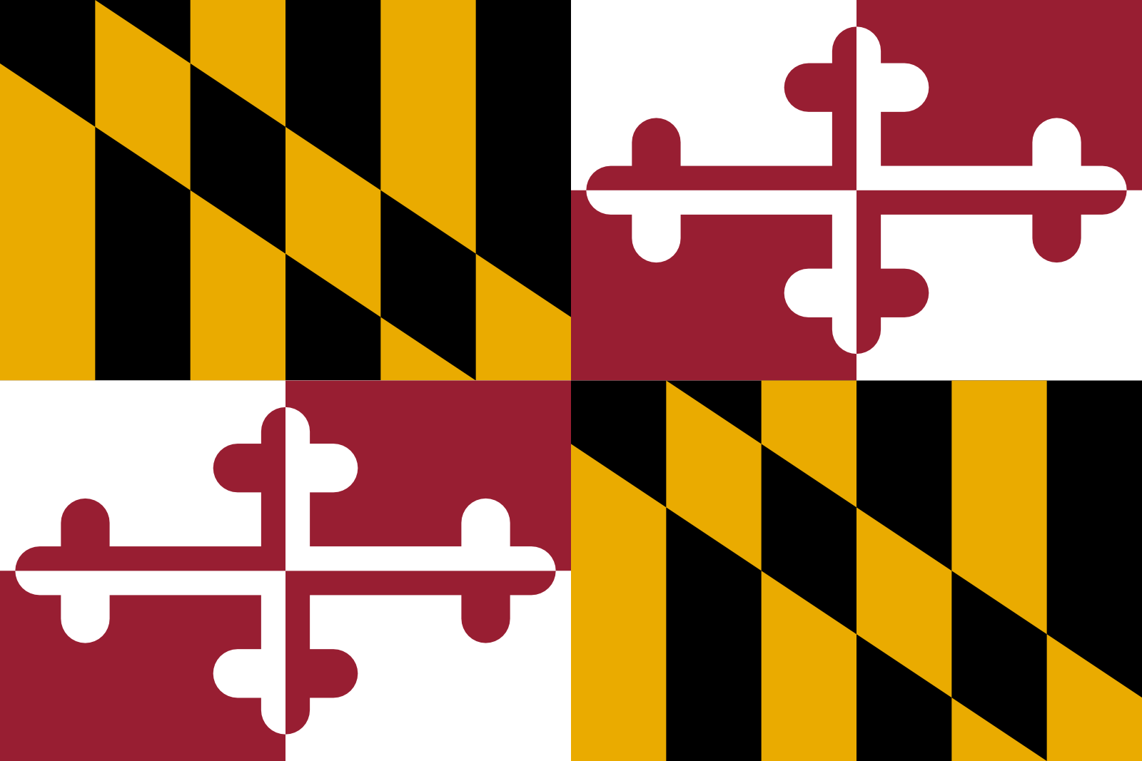 MD state flag