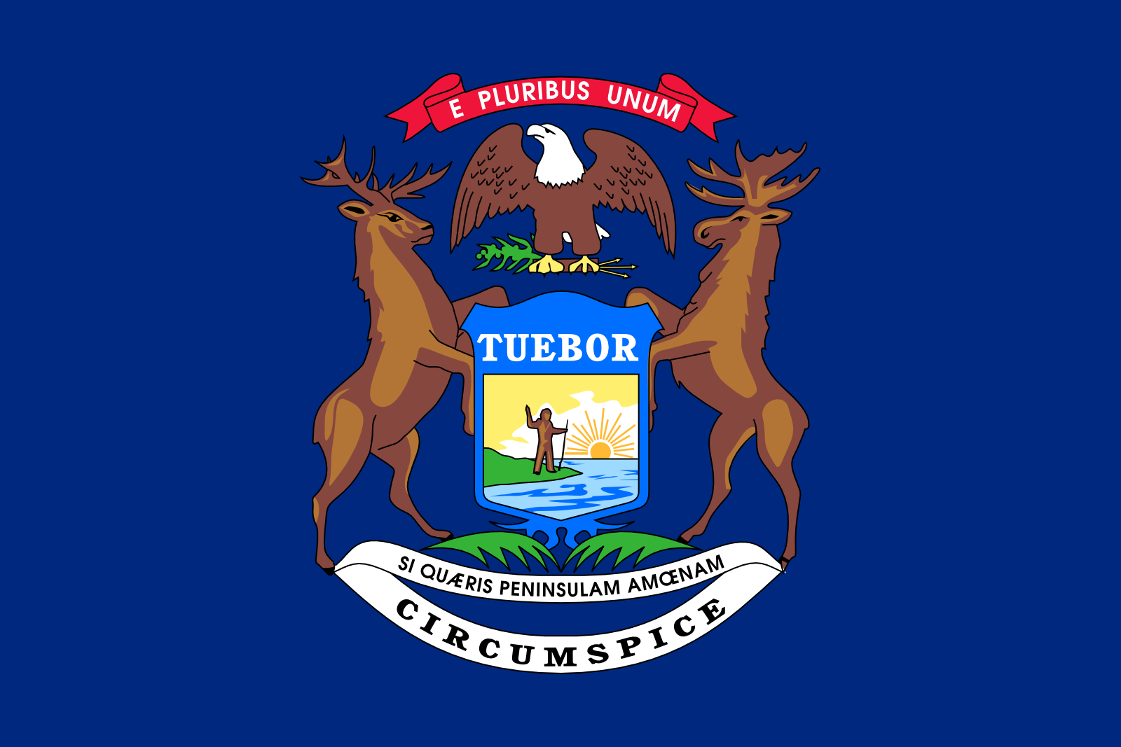 MI state flag