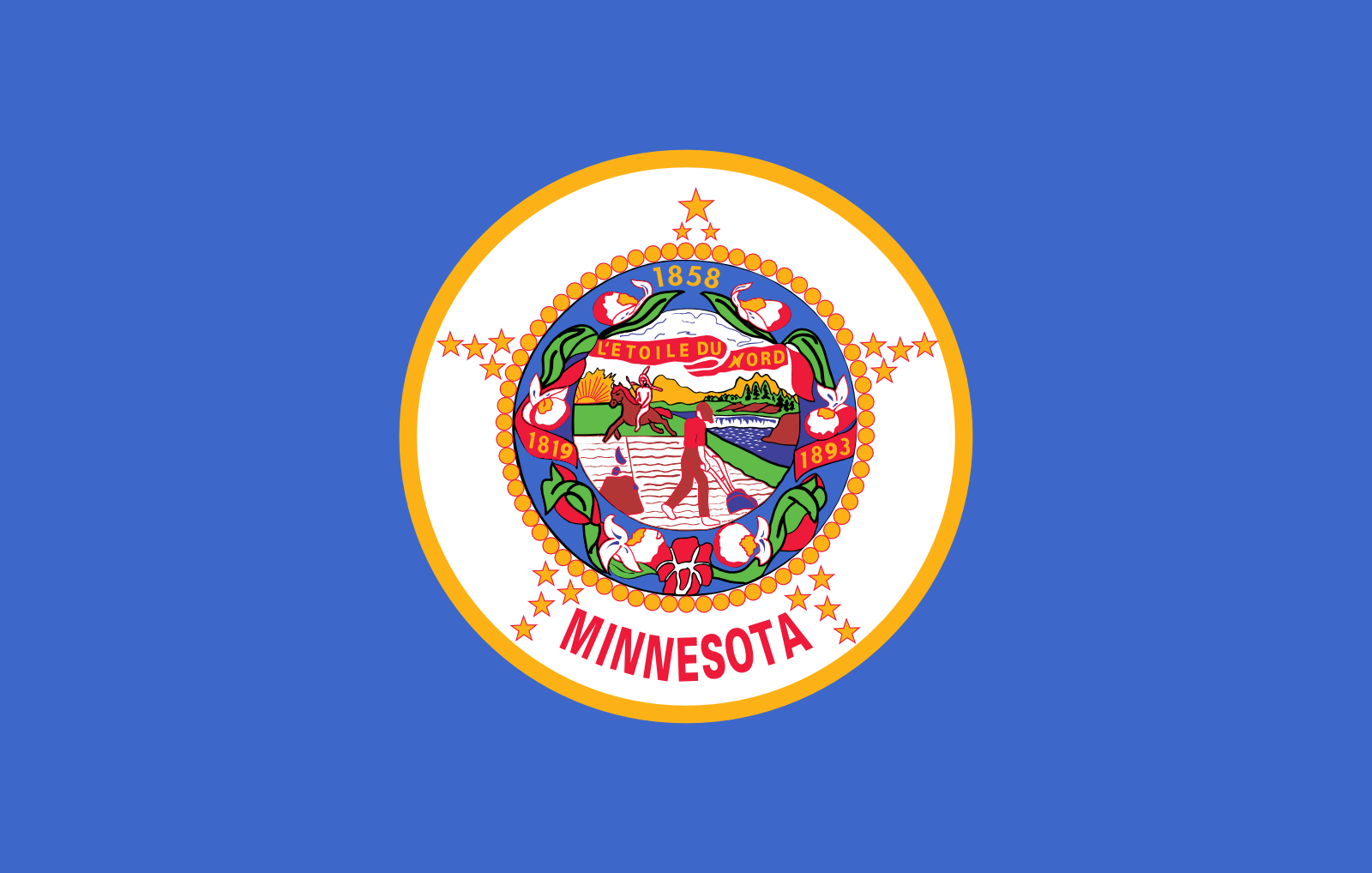 MN state flag