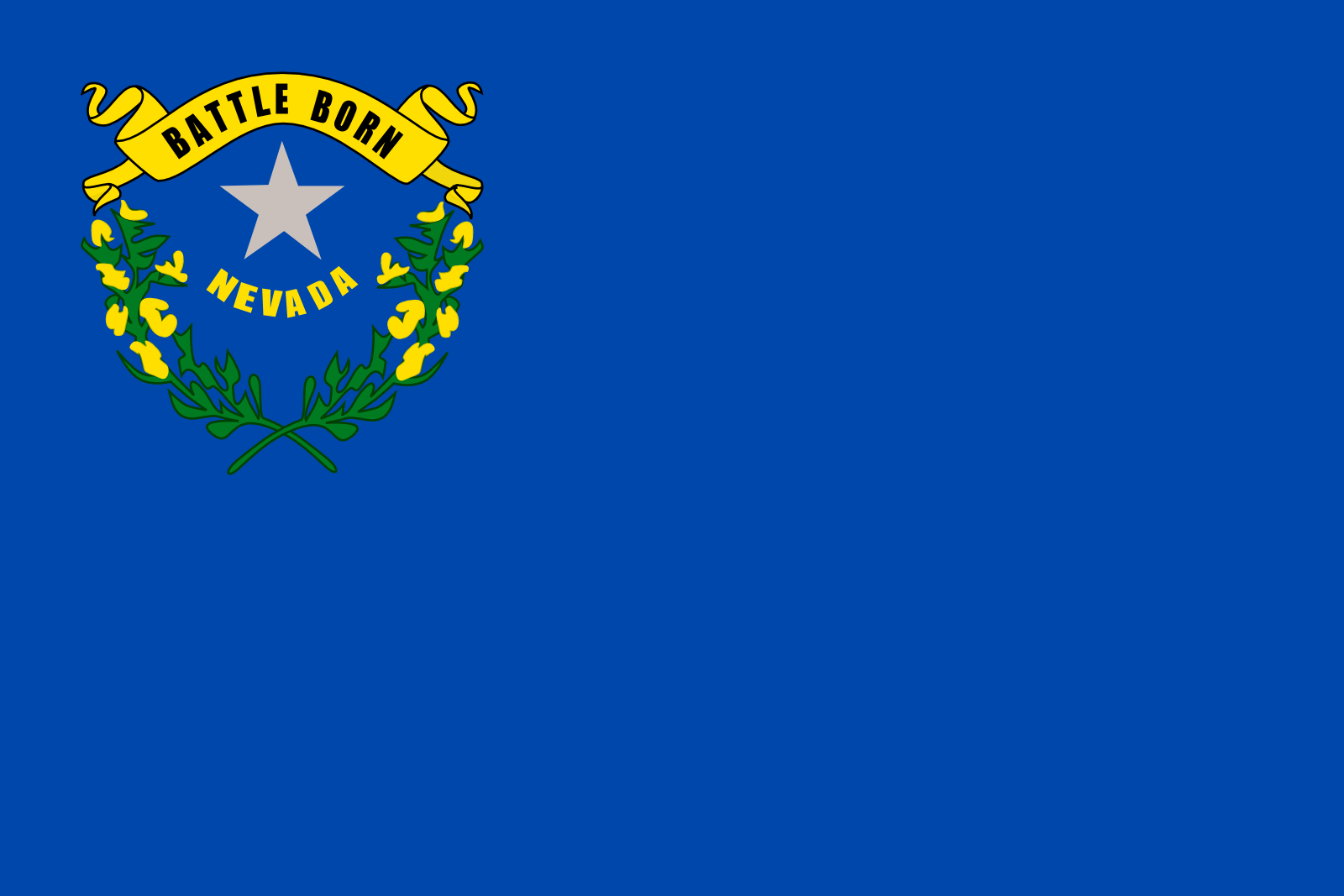 NV state flag