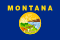 MT state flag