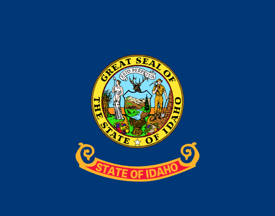 Twin Falls County Flag