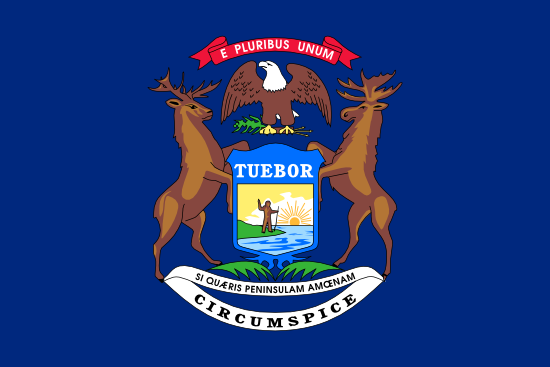 Lansing Flag