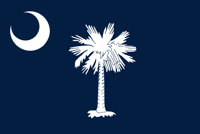 Lexington Flag